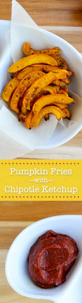Pumpkin Fries w Chipotle Ketchup (1 of 1)